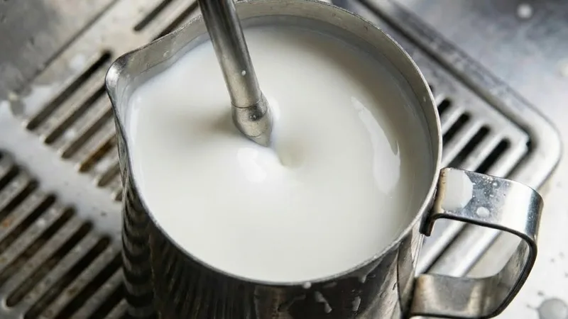 Top-down view of perfect, glossy, wet-paint-like microfoam texture in a pitcher, ready for latte art